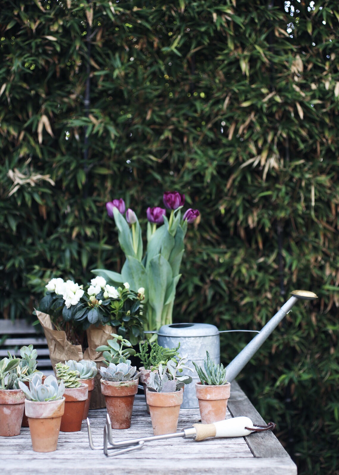 spring cleaning + planting via @citysage