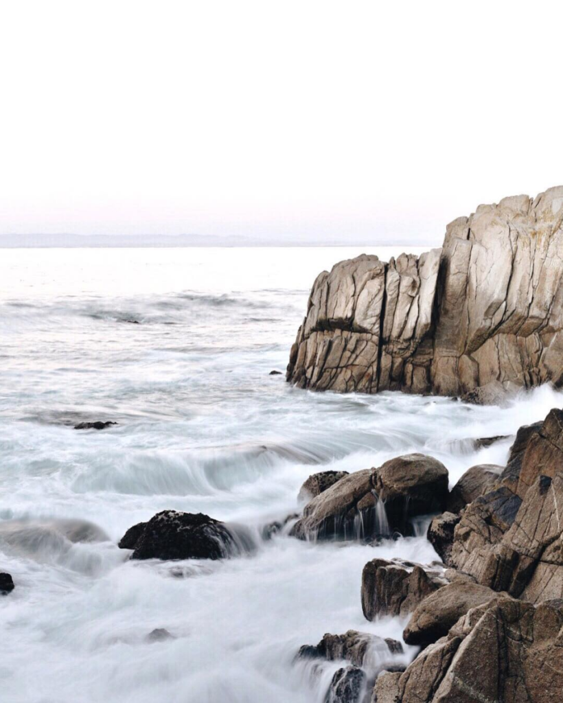 pacific grove coastal shoreline // anne sage